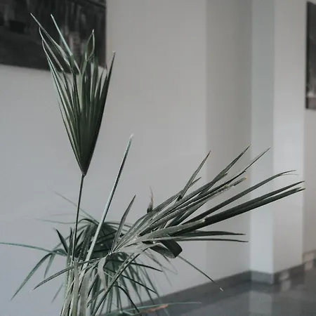 Tolstoi Apartmán Milán